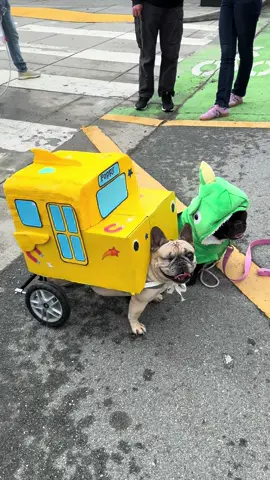 Happy Halloween from the Magic Schoolbus and Liz 🦎 #halloween #petcostume #wheelchaircostume #fypage #parati 