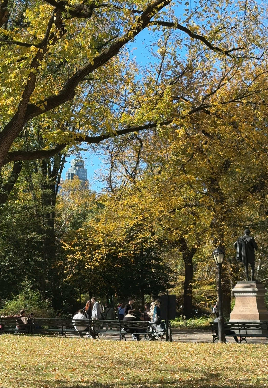 Sunday at home and in the park 🍂 