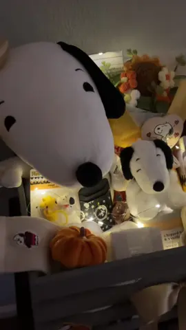 SNOOPYY🍂#fypシ゚viral #explorepage✨ #snoopy 