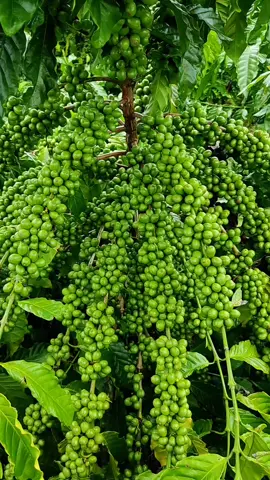 từ lúc e nói câu: 