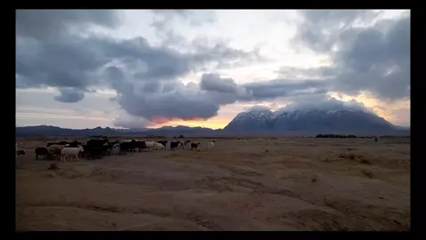 . #طبیعت #natural #nature 