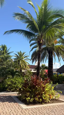 #group7 #g7 #traveltiktok #viraltiktok 