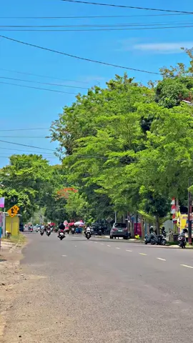 Lapnas Sinjai #sinjai #sinjaibugis 