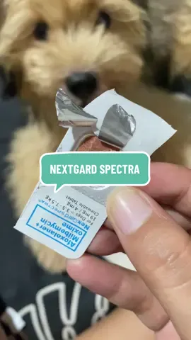 ⚠️Watch full details of NEXTGARD SPECTRA⚠️ #nextgard #fordog #garapataawareness #antitickandflea #nextgardspectra 