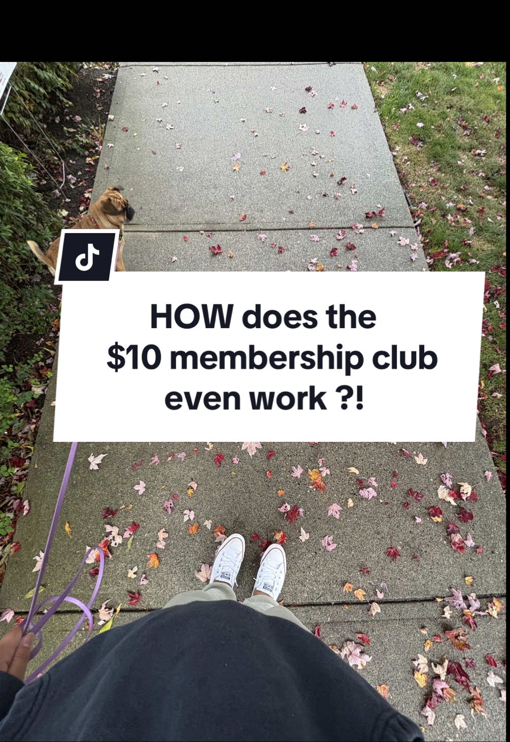 Down here 👇🏽 This is the only membership that gives you cost on health and wellness products, but also where the company pays you back by profit sharing with its active members.  Problem is it’s hard to wrap your head around and understand how it all works, which is why I pinned a video at the top of my TikTok page explaining in detail how the sidehustle works, and how the matrix works/how you’ll make money from this sidehustle.  It’s the video called “10 dollar club EXPLAINED” You can also go to the link at the top of my TikTok page, and enter your email for more info on the 10 dollar club, and you’ll get an email from me with all the info and also the link to sign up for your membership!  Any questions, leave a comment or send me a message! Stop waiting, and join the membership because in 2-3-4-5 years, it’s going to be making you far more money than the cost of the monthly membership, which is only 10 bucks a month!  #makemoneyfromhome #sidehustles #extramoney #10dollarclub #creatorsearchinsights 