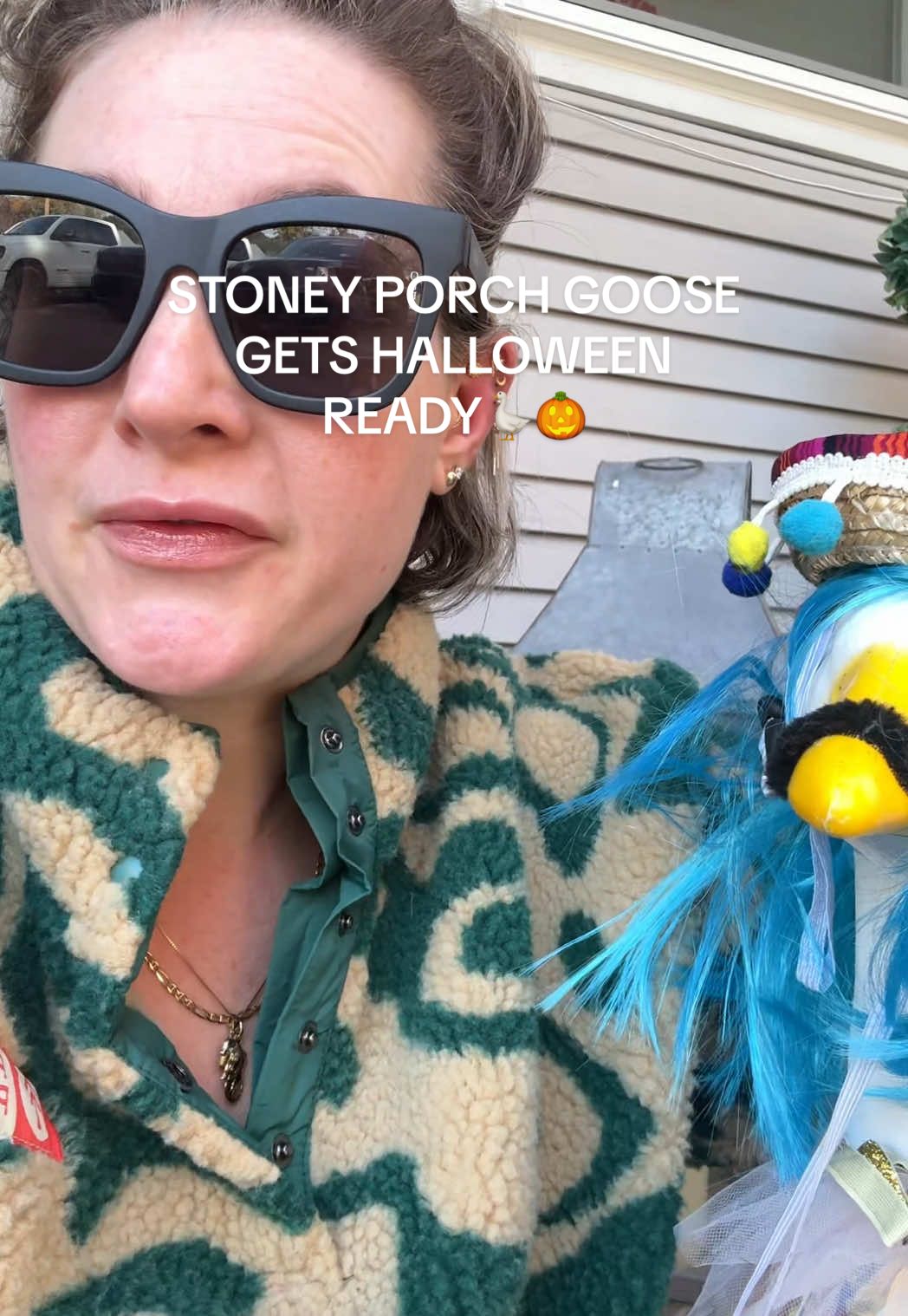 DANTE MY STONEY PORCH GOOSE IS ALIVE AND WELL YA’LL 🪿😎✨🎃 #porchgoose #goose #halloweendecor #porchdecor #momsover30 