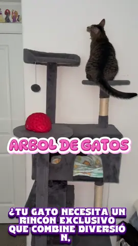 #homedecorbricks #sofabedideas #gatos  #cat #casadegatos 