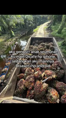mana sanggup 🥲 #petanimuda #sawitontiktok  #sawitriau #fyp #masukberanda 