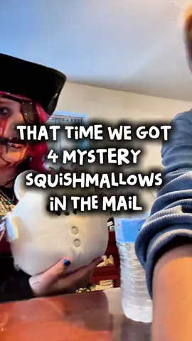 That time we got 4 mystery squishmallows in the mail! #squishmallow #mysterybox #surprisetoys #giftsforkids 