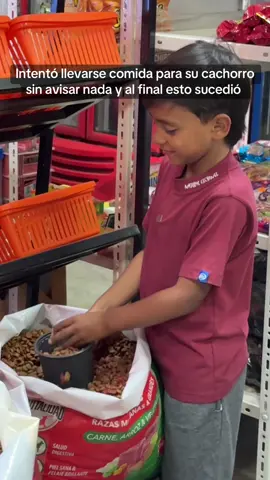 Intentó llevarse comida para su cachorro sin avisar nada y al final esto sucedió #paratii #reflexiones #mexico 