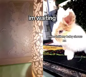 #duet with @#☆~SassySally~☆ 