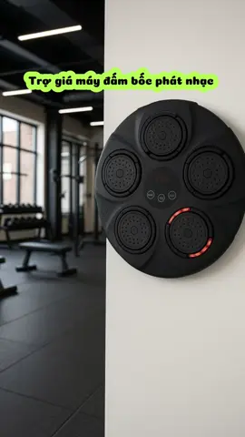 Máy đấm bốc phát nhạc #viral #xuhuong #maydambocphatnhac 