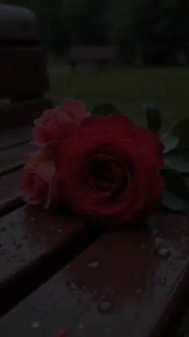 #ادعيه_اذكار_تسبيح_دعاء_استغفار_اية #تصميمي #صباح_الخير 