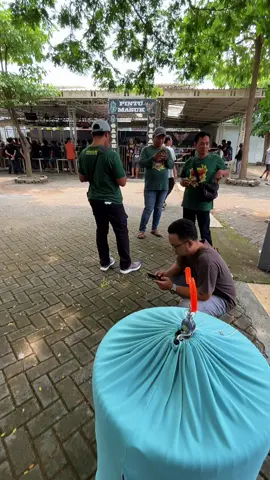 #kicaumaniaindonesia #muraibatuindonesia #MKteam 