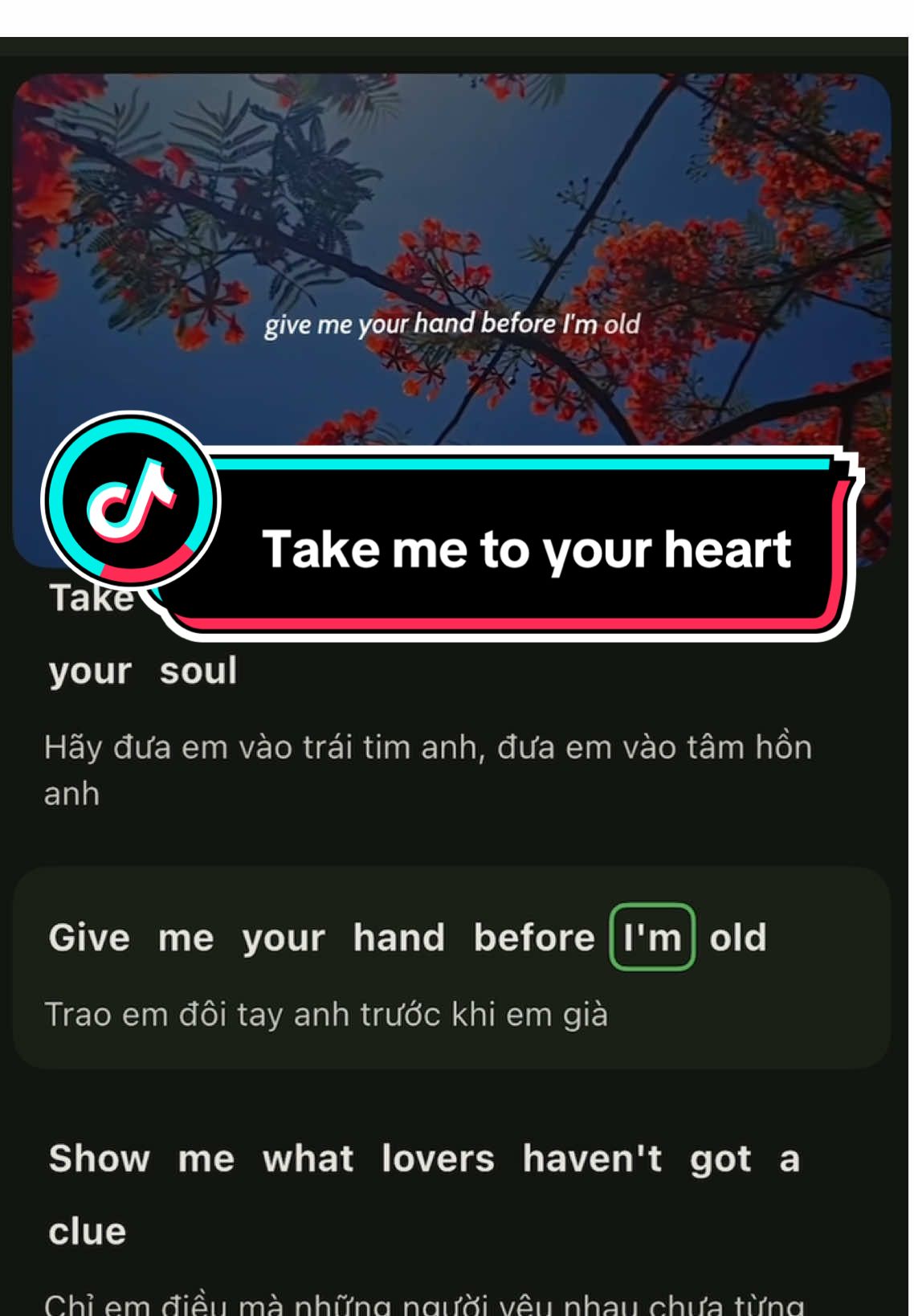 Suuy//  #takemetoyourheart    🎧🎵 #nhachay  #Englishmusic #lovesong #chill luyennghetienganh🌱 learningEnglish 🌱nghenhacchill🌱 nochill95🍂