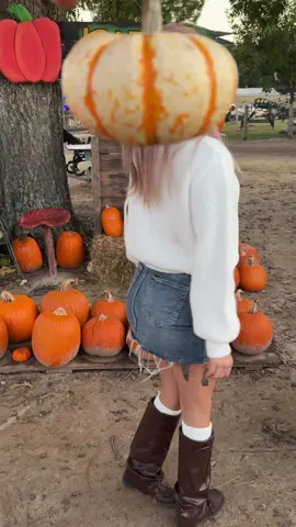 He’s dirty from holding my flowers lol… loved this ☺️💕 #pumkinpatch #foryou #trend #trending #makethisvideogoviral 