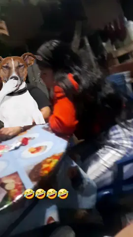 yo cuando no tengo nada que hacer 🤣🤣🤣