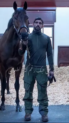 شعر سمو الشيخ حمـدآن بن محمد بن راشد آل مكتوم حفظه الله ورعاه ( فزاع)  #حمدان_بن_محمد_بن_راشد  #hamdanbinmohammed  #ولي_عهد_دبي  #فزاع_حمدان  #faz3 