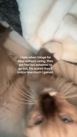 I keep losing and gaining 6.8kg. But peep my new kitty and botched bangs🥹 #fyp #binge #cat #bangs 