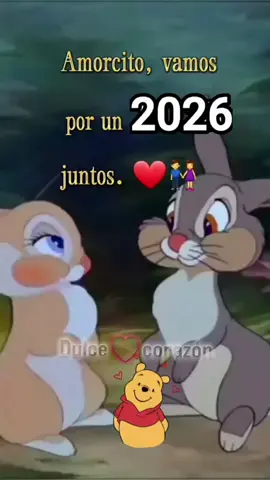 Amorcito vamos por un 2026 juntos aceptas ?