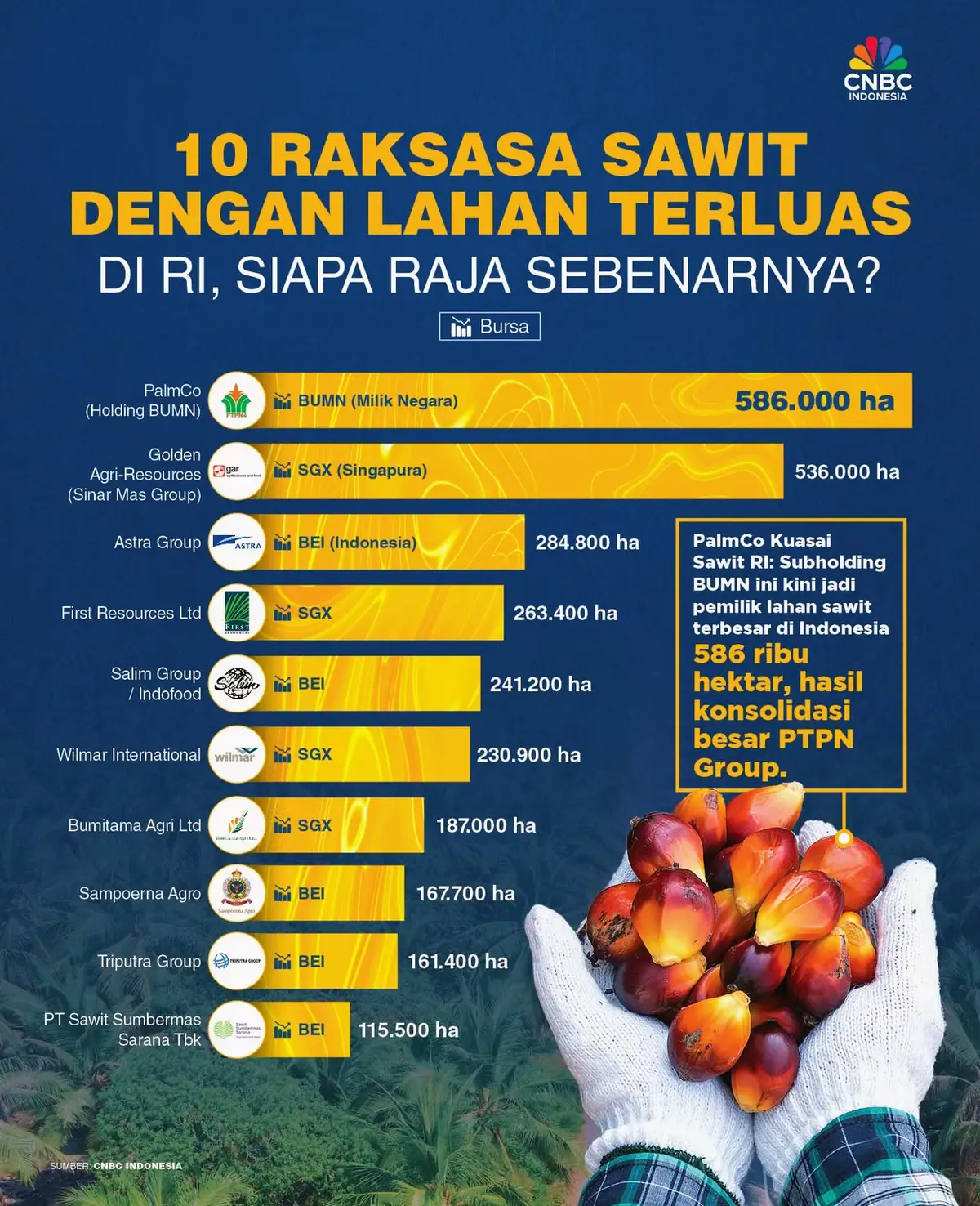 Tidak ada satupun perusahaan yang menggunakan kecambah mariles atau kentosan. Agar tonase dan pendapatan lebih maksimal, kita juga harus mengikuti dan menggunakan kecambah unggul. Jangan sia-siakan waktu, tenaga dan pikiran untuk berkebun sawit menggunakan benih atau bibit sawit yang tidak jelas 👌👌 #sawitnias #sawitunggul #pejuangtbm #kelapasawit #sawitindonesia 