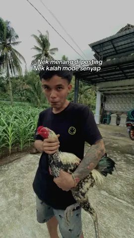 Sopo wiii 🤣 #CapCut #fypシ゚ #fyppppppppppppppppppppppp #viral #pamagon_iq 