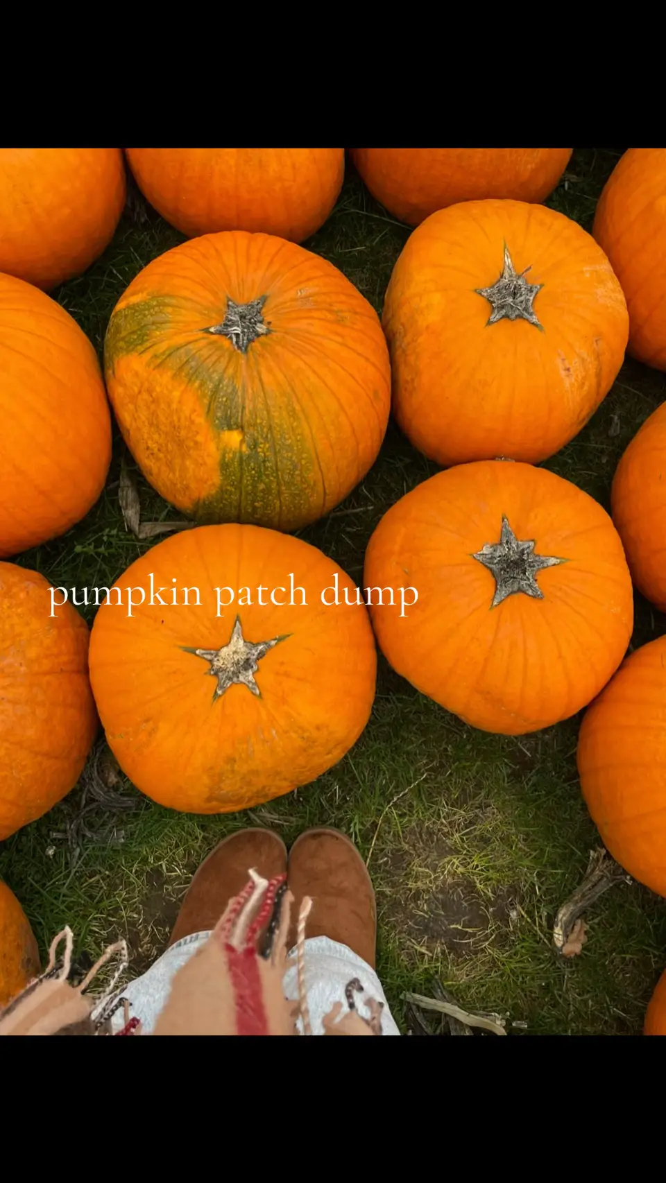 i think this post is rlly cute 🤭 #fyp #pumpkinpatch #goviral #makemefamous #fyp 