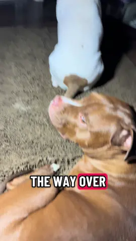 Is it a holiday I don’t know about? What’s with the fireworks?