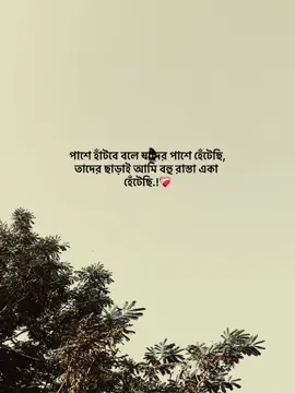 পাশে হাঁটবে বলে যাদের পাশে হেঁটেছি, তাদের ছাড়াই আমি বহু রাস্তা একা হেঁটেছি.!❤️‍🩹#foryou #unfrezzmyaccount #qatar🇶🇦 #tiktokbangladesh🇧🇩 #fypシ゚ 