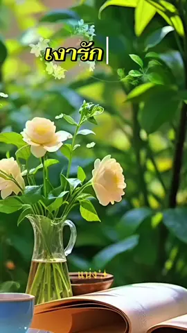#แทรนวันนี้ #เพลงคู่ #เพลงเก่าที่คิดถึง #รวมเพลงเก่า #ขอบคุณเสียงต้นฉบับ 