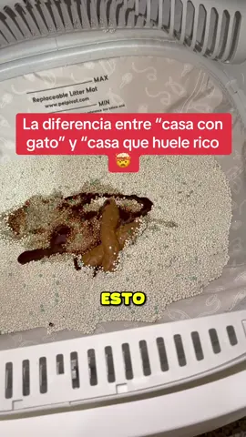 #cajadearenaparagatos #cajaautomatica #arenaparagatos #tiktokshopblackfriday #gatos 