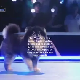😭💔... #yeontan 