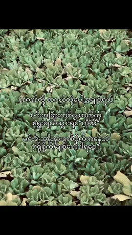 💐@KRIZZY #fypシ゚ #fypシ゚ #fypシ゚ #fypシ゚ #tiktokviral 