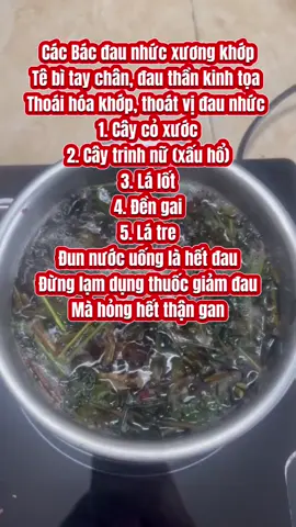 Đau nhức xương khớp đừng bỏ qua các vị lá nam quanh nhà này ạ #dauxuongkhop #thoaihoacotsong #thoatvidiadem #giadinh #suckhoe 