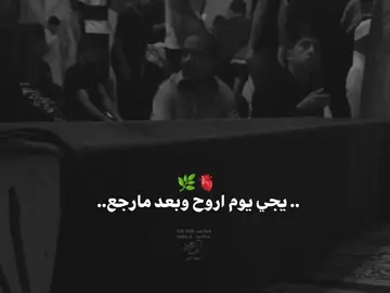 #creatorsearchinsights 