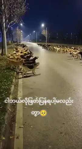 #လုပ်ကြပါအုံးဘာမုာလုပ်မရတော့ဘူး😫😫😫 