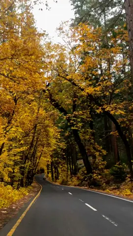 #yosemite #california #pati