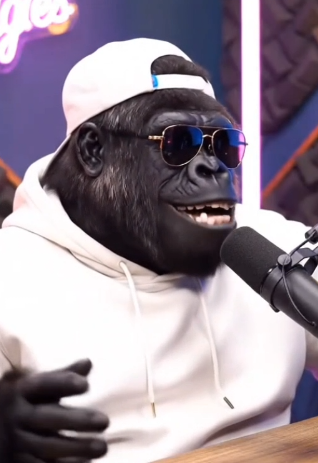 O papo de hoje tá muito bom 🤣🤣🤣 #meme #humor #inteligenciaartificial #zeckeluck 