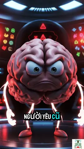 Nếu não là người yêu, chắc nó đã đòi chia tay vì bị bỏ bê suốt…#toilanao#naolentieng#tiktokhealth #suckhoemoingay#tansosuckhoe 