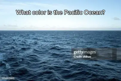 This is too niche ✌️ #pacficocean #ocean #water #fyp #fypシ 