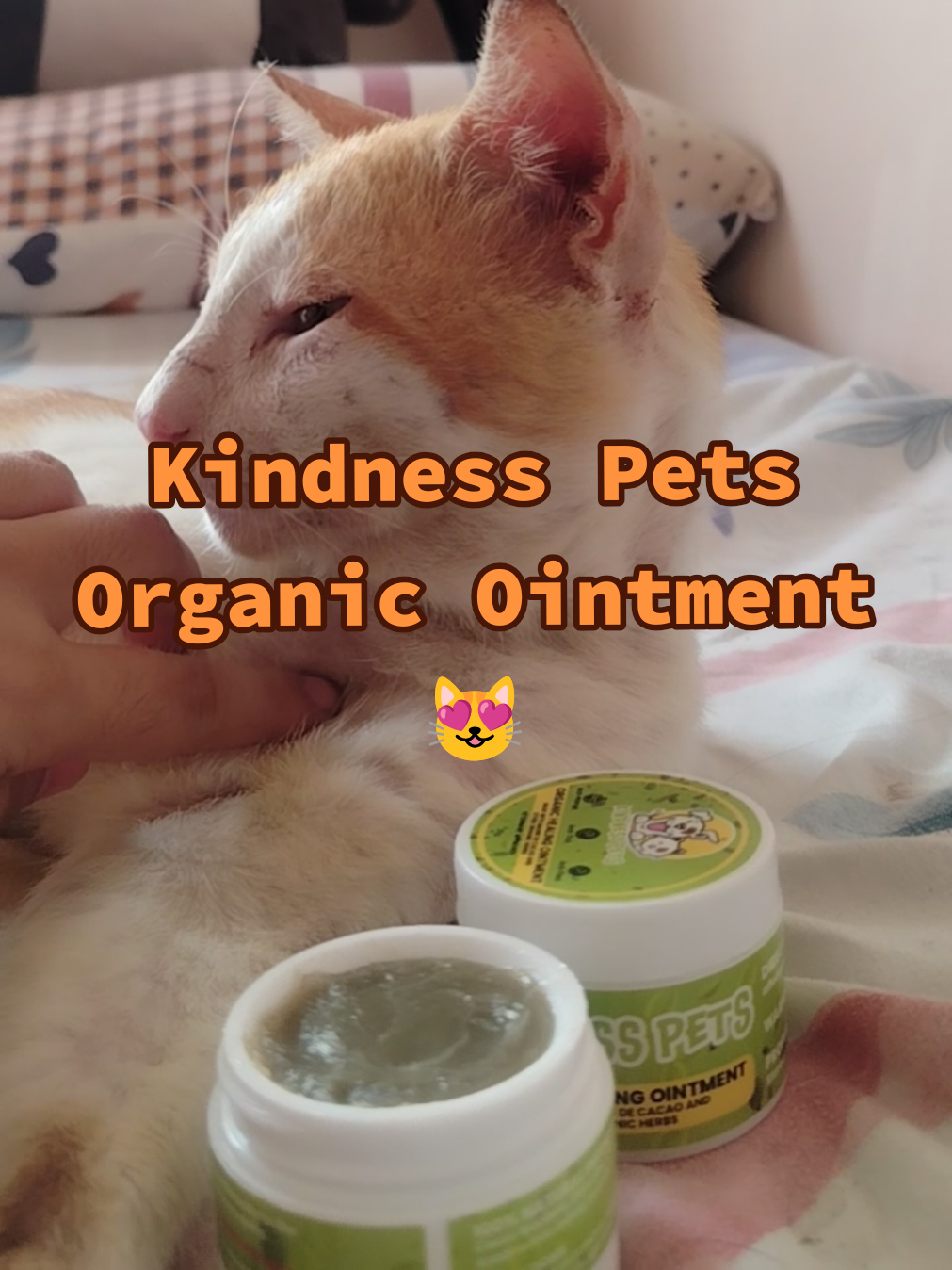 Cat and dog ointment for skin fungal infection like ringworms, bacterial infections, skin allergies, itchy.  ✅ Isa sa pinaka common hair loss, scaly patches, at makating balat. ✅ Healing ointment at gamot Natural care without harsh chemical healing wounds gentle yet effective balm. ✅ Heal wounds and hot spots. Anti fungal and anti-mange. ✅ Tick and flea repellant. ✅ Gentle on all breeds - dogs, cats and even sensitive skin types. #ringwormtreatment  #ringworm  #ointmentcream  #furparents 