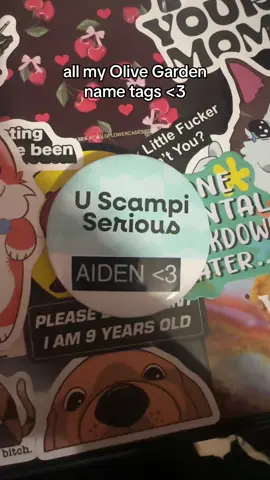 guess my favorite @Olive Garden name tag rn 😋 #olivegarden #fyp #fypシ 