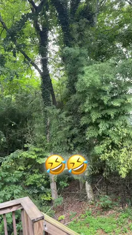 #LIVEIncentiveProgram #LIVEWithLessFollowers #PaidPartnership 