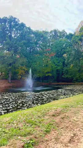 #شعب_الصيني_ماله_حل😂😂 #explore #fypシ゚viral #onthisday 