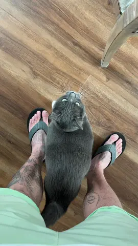 Always next to me 