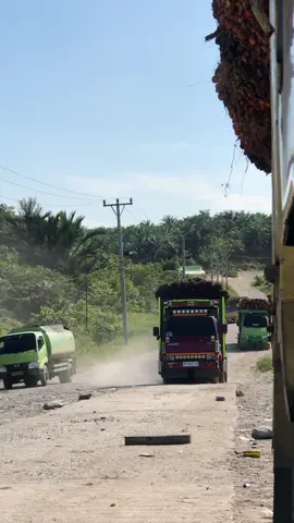 Artis palohhh😎  @nando_hj     #sawitkalimantan #sawitbalap🤙 #ptmub #truckkalimantan #sawitkalimantan🌴🌴🇮🇩 