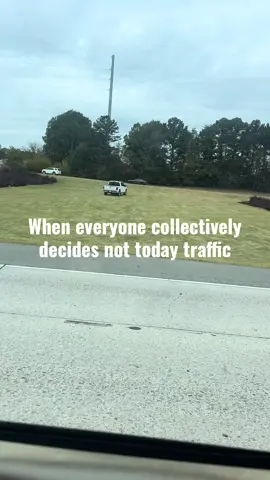 #lifestyledbyrheannon #rowdyrhea #traffic #funny #georgia 