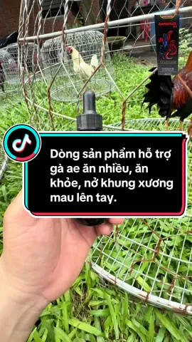 Dòng sản phẩm hỗ trợ gà ae ăn nhiều, ăn khỏe, nở khung xương mau lên tay. #thuy68 #ga #c1 #c2 #c3 