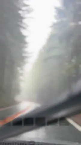 Tis the twilight season 🍂 #twilight #twilighttiktok #bellaandedward #jacobblack #viral #twilightseason #fall 