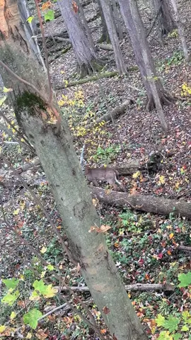 So gooddddddd #newyork 